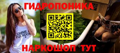 молекула духа Новодвинск