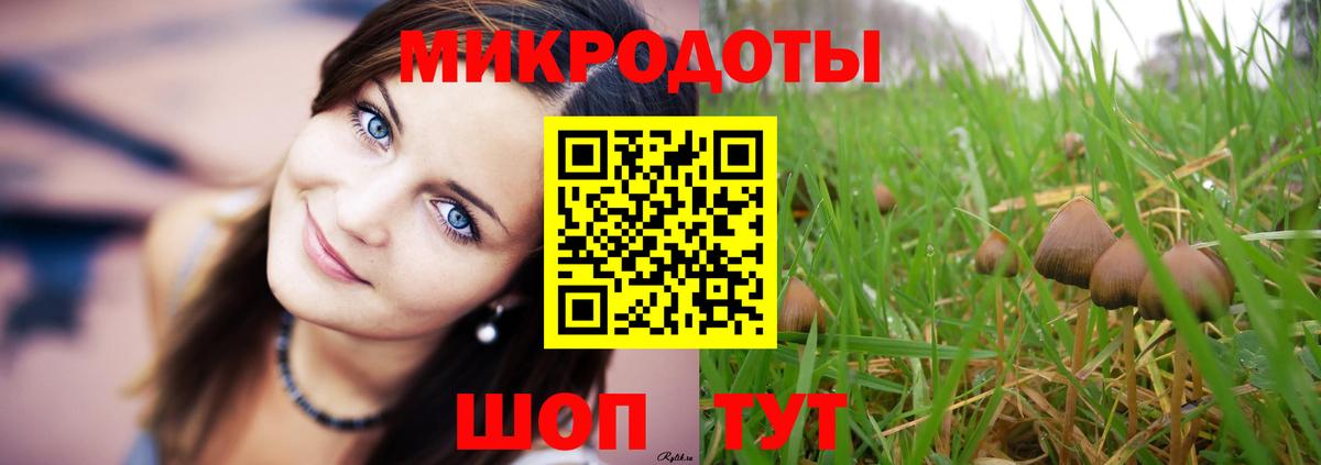 Псилоцибиновые грибы Psilocybe Ревда
